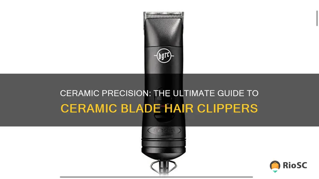 best ceramic blade hair clippers