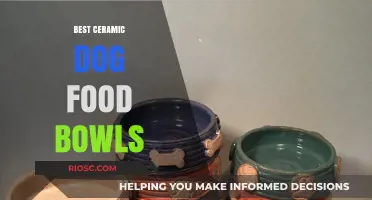 Top Picks for Your Pooch: The Best Ceramic Dog Food Bowls of 2024
