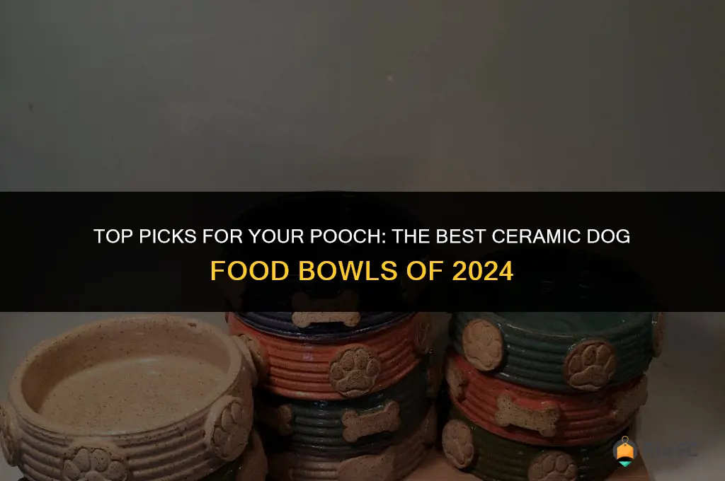 best ceramic dog food bowls