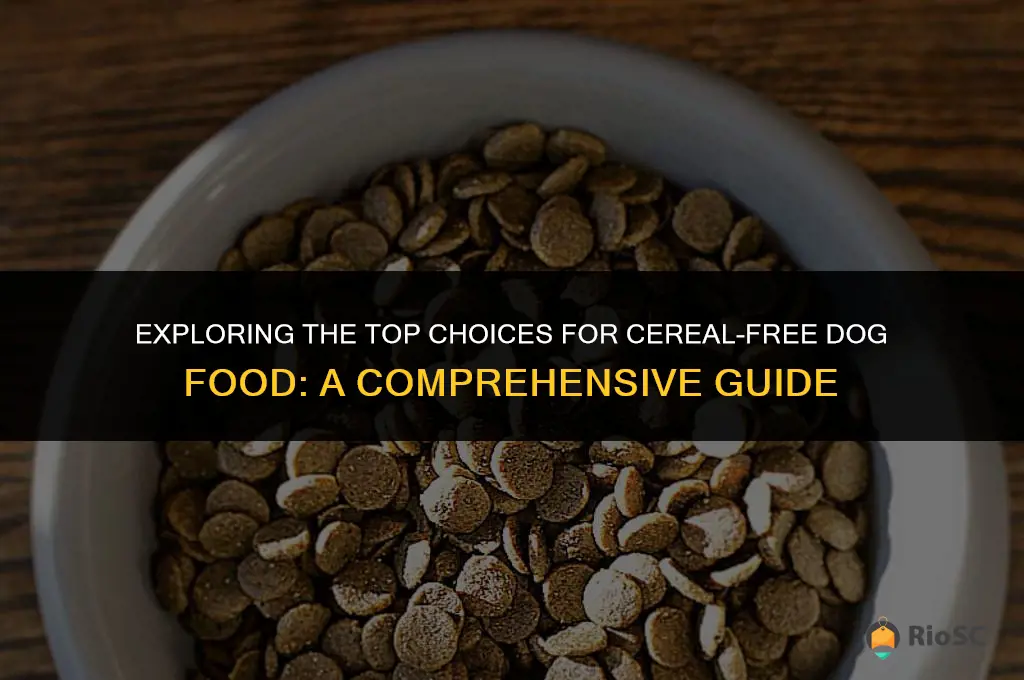 best cereal free dog food