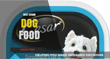 Top Picks for Your Furry Friend: The Best Cesar Dog Food Options