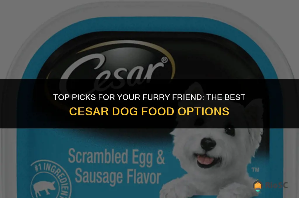 best cesar dog food