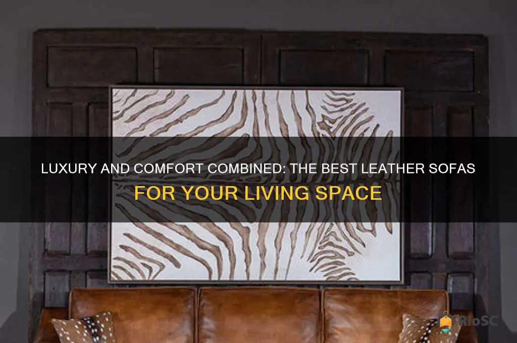 best chairs leather sofa