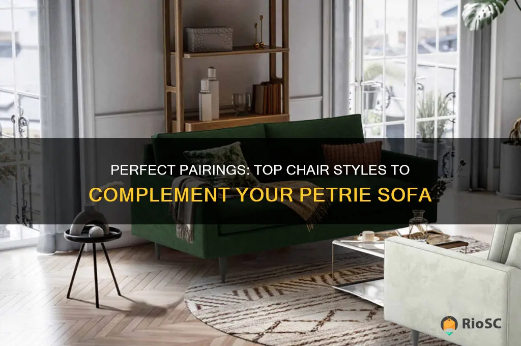 best chairs to go with petrie sofa