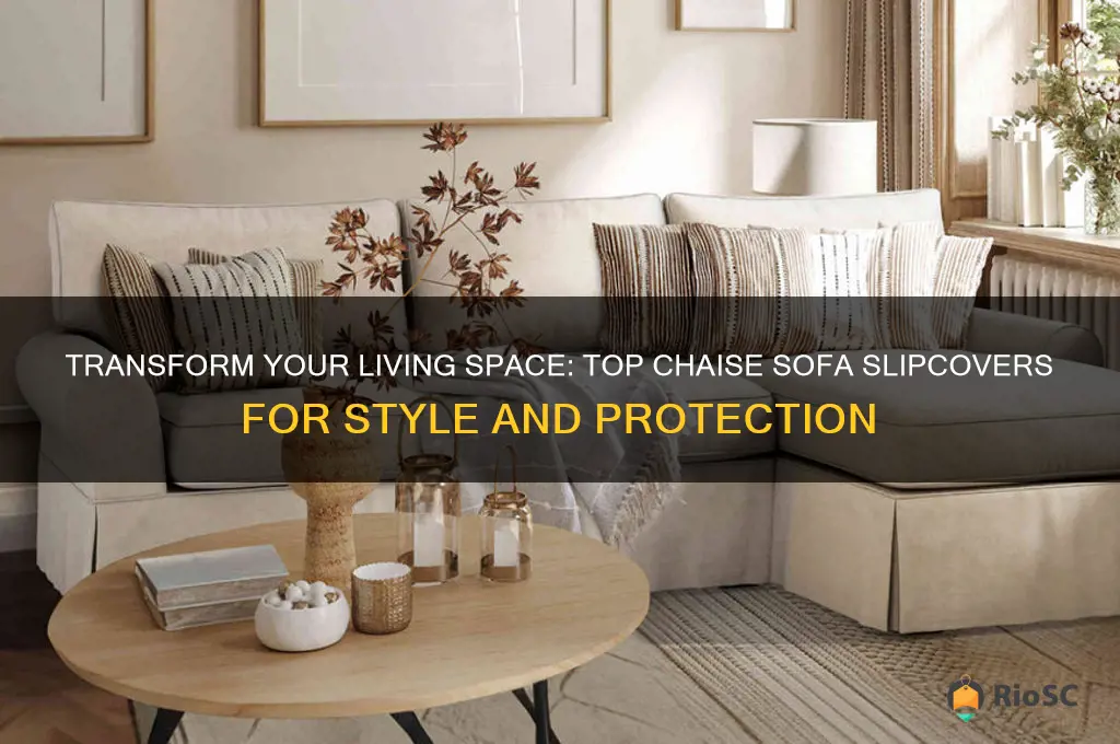 best chaise sofa slipcovers