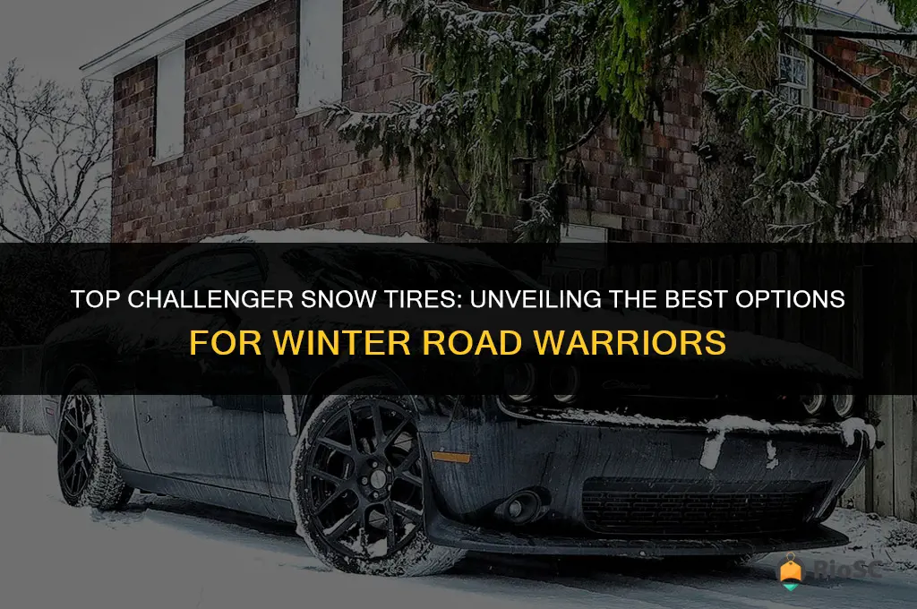 best challenger snow tires