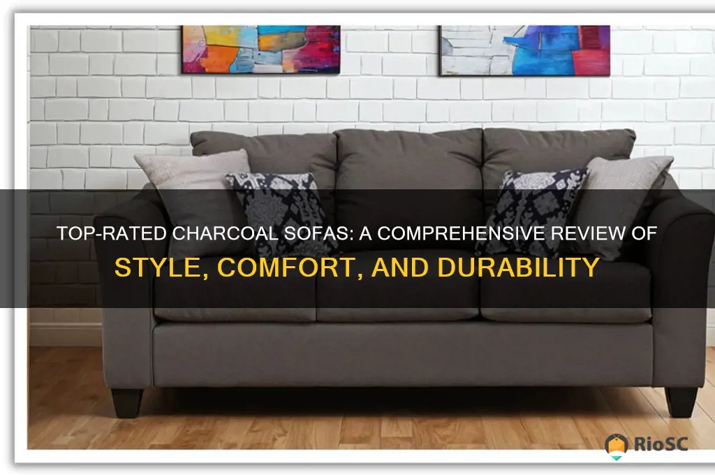 best charcoal sofa review