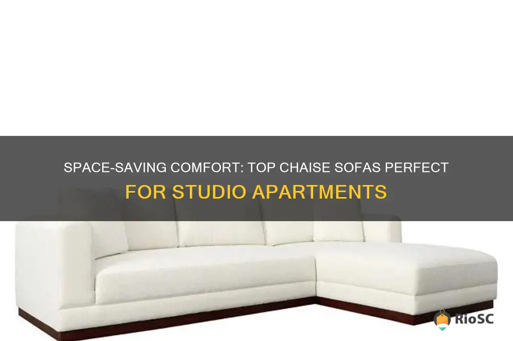 best chasie sofas for studi apartments