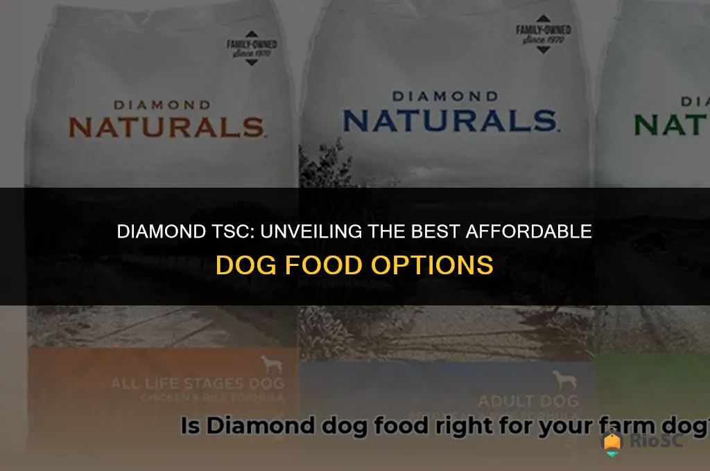 best cheao dog food diamond tsc