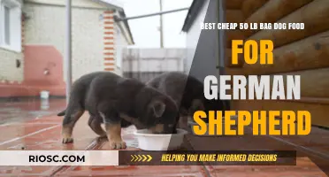 Affordable Nutrition: Top 50 lb Dog Food Bags for German Shepherds on a Budget