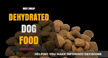 Affordable Dehydrated Dog Food: Top Picks for Budget-Conscious Pet Owners