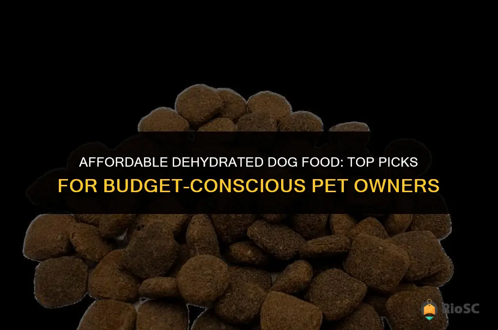 best cheap dehydrated dog food