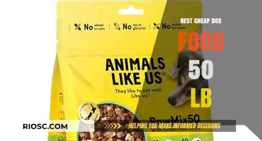 Affordable Nutrition: Top Picks for Cheap Dog Food in 50-Pound Bags