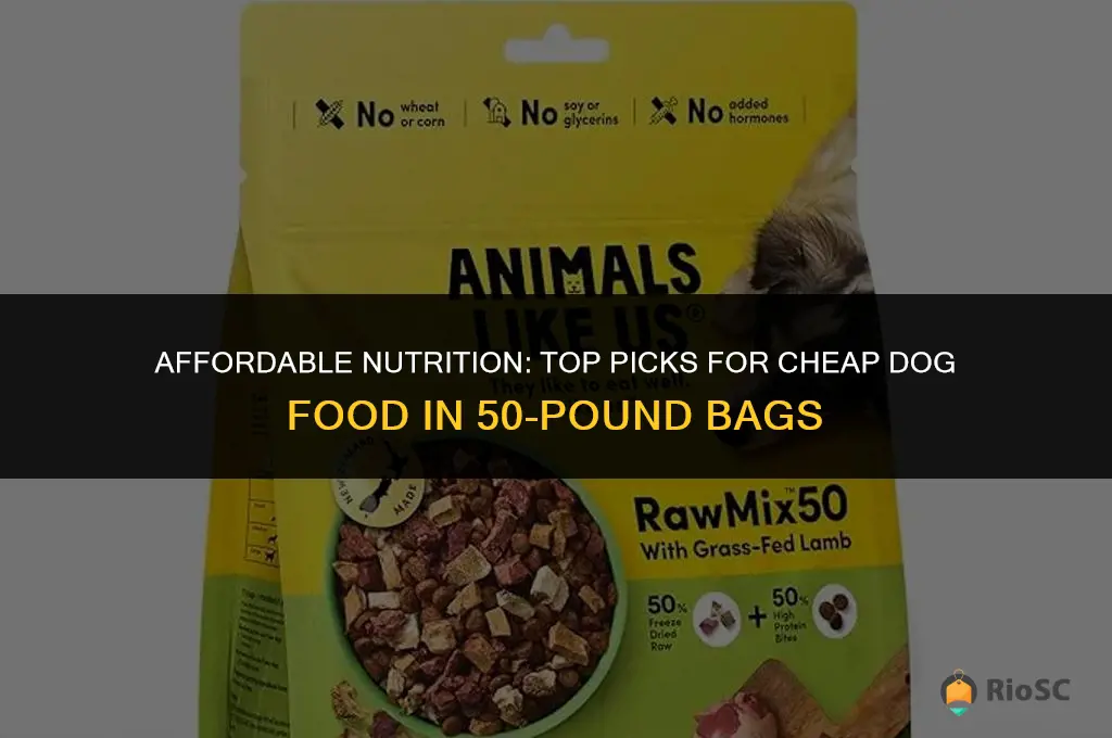 best cheap dog food 50 lb