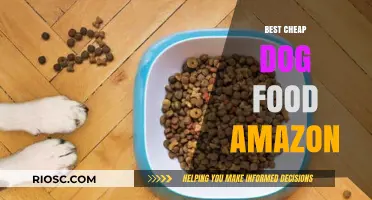 Affordable Canine Cuisine: Top Budget-Friendly Dog Food Picks on Amazon