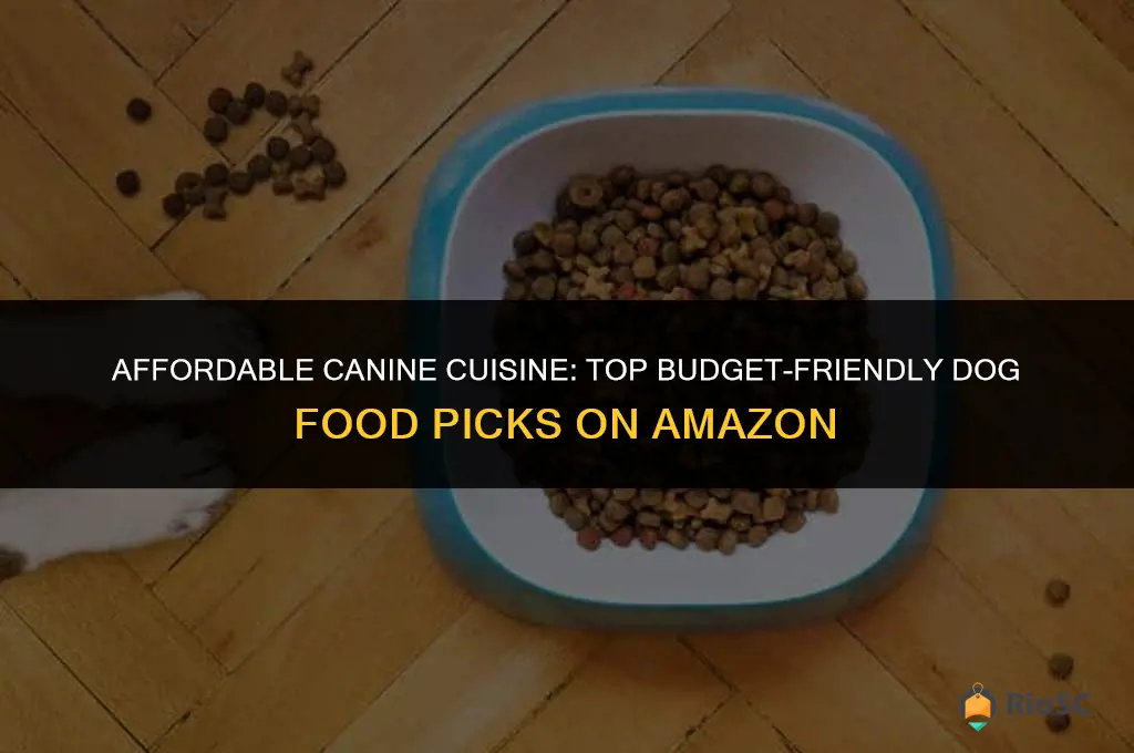 best cheap dog food amazon