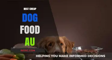 Affordable Nutrition for Your Furry Friend: A Guide to the Best Cheap Dog Food in Australia