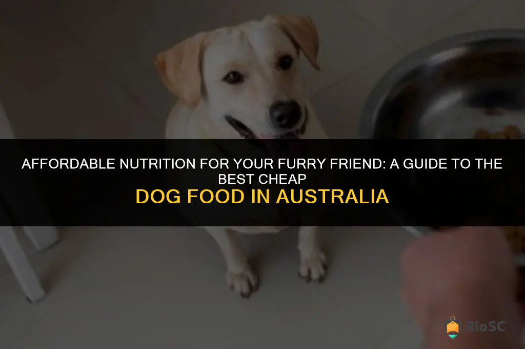 best cheap dog food au