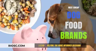 Affordable Nutrition: Top Budget-Friendly Dog Food Brands for Healthy Canines