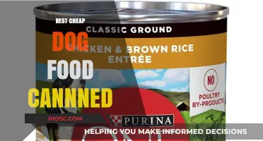 Affordable Nutrition: Top Canned Dog Food Options on a Budget