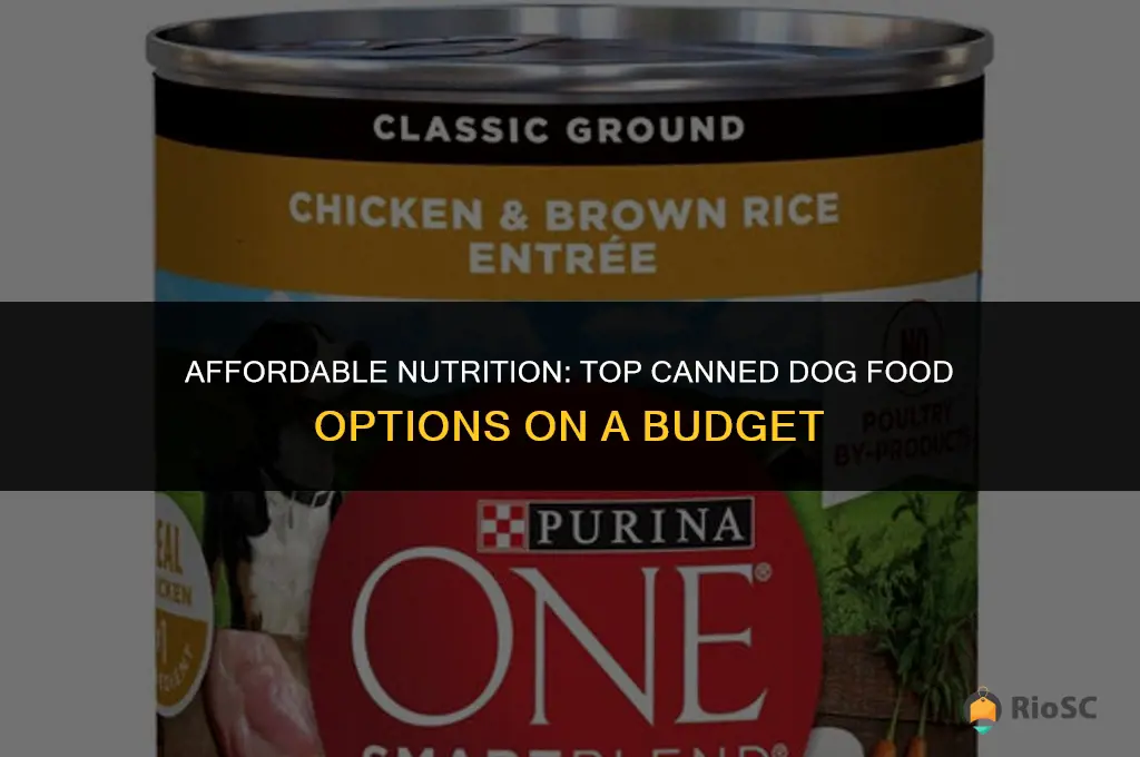 best cheap dog food cannned