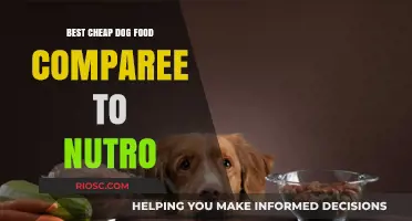Affordable Alternatives: A Comparison of Budget-Friendly Dog Foods to Nutro