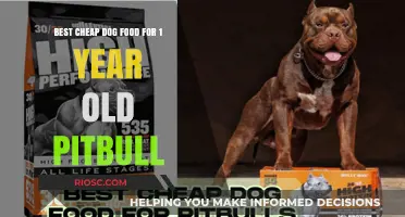Affordable Nutrition for Your Growing Pitbull: Top Cheap Dog Food Picks for 1-Year-Olds