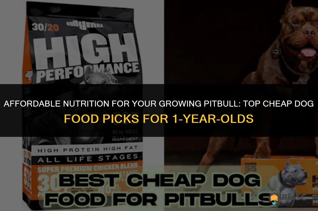 best cheap dog food for 1 year old pitbull