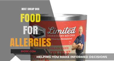 Affordable Allergy-Friendly Dog Food Options: A Comprehensive Guide for Pet Owners