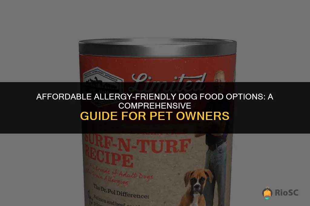 best cheap dog food for allergies