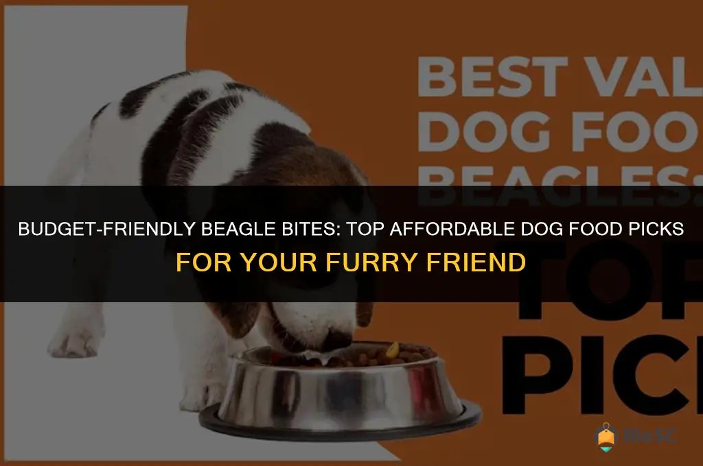 best cheap dog food for beagles