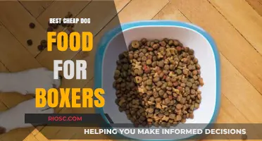 Affordable Nutrition for Your Boxer: Top Budget-Friendly Dog Food Picks