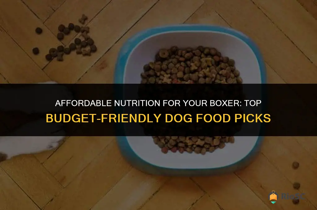best cheap dog food for boxers