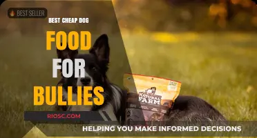 Affordable Nutrition for Your Bully Breed: Top Cheap Dog Food Picks