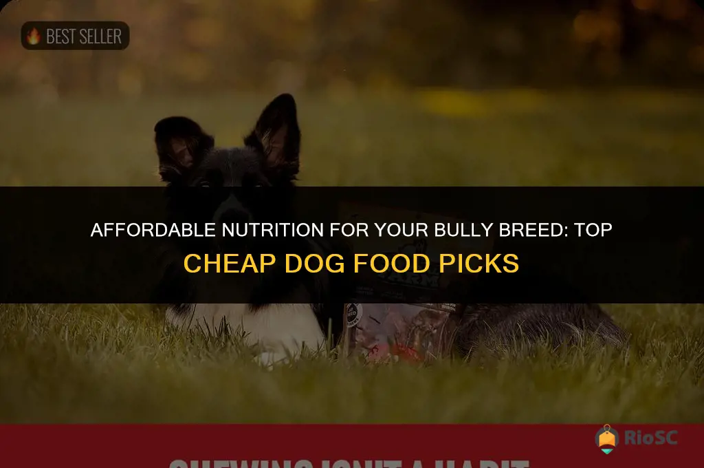 best cheap dog food for bullies