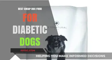 Affordable Nutrition: Top Dog Food Picks for Diabetic Dogs on a Budget