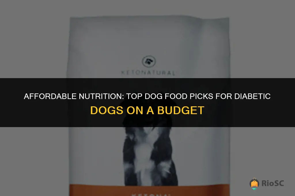 best cheap dog food for diabetic dogs