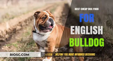 Affordable Nutrition for Your English Bulldog: A Guide to the Best Cheap Dog Foods