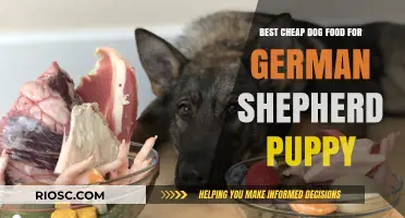 Affordable Nutrition for Your Growing German Shepherd Puppy: Top Dog Food Picks