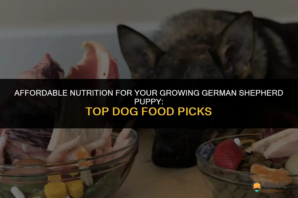 best cheap dog food for german shepherd puppy