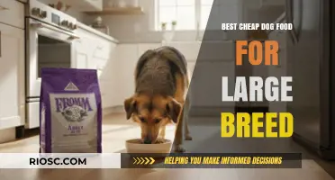 Affordable Nutrition: Top Budget-Friendly Dog Foods for Large Breeds