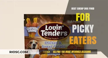 Affordable Gourmet: Top Dog Food Picks for Picky Palates
