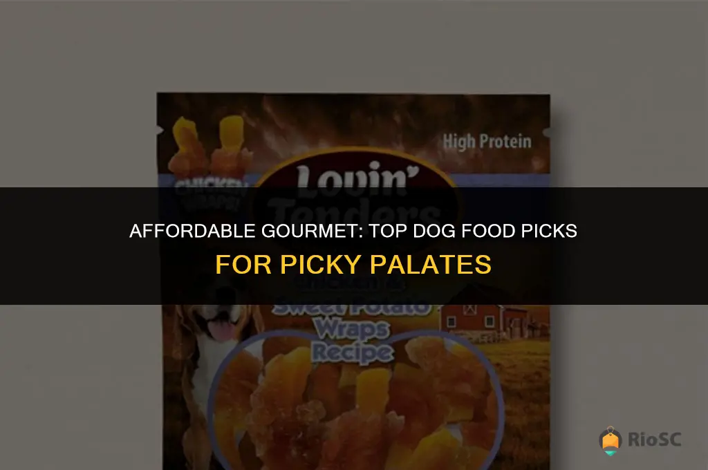 best cheap dog food for picky eaters