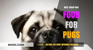 Affordable Nutrition for Your Pug: A Guide to the Best Cheap Dog Foods