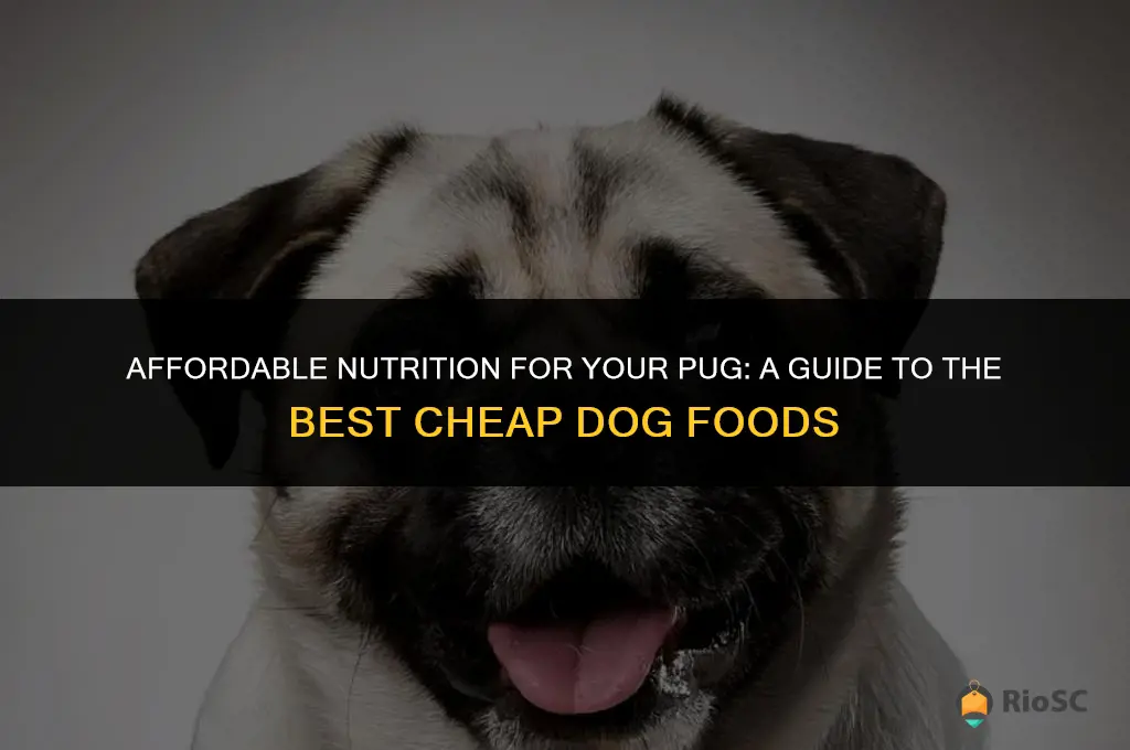 best cheap dog food for pugs