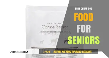 Affordable Nutrition for Senior Dogs: A Guide to the Best Budget-Friendly Options