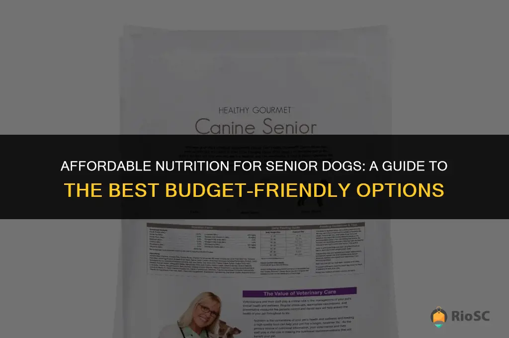 best cheap dog food for seniors