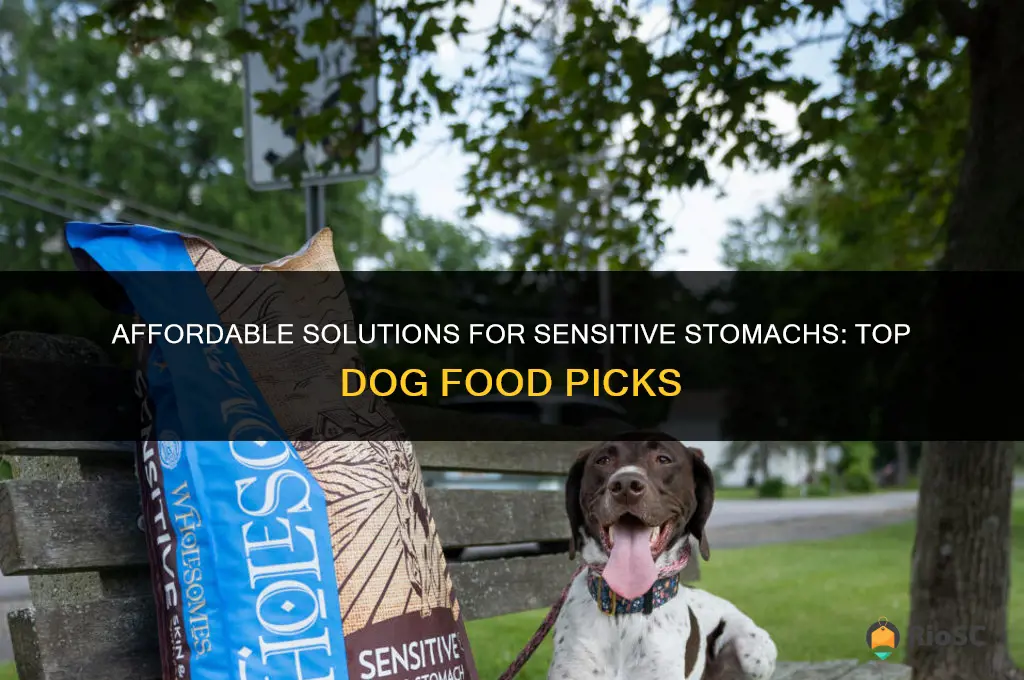 best cheap dog food for sensitive stomach