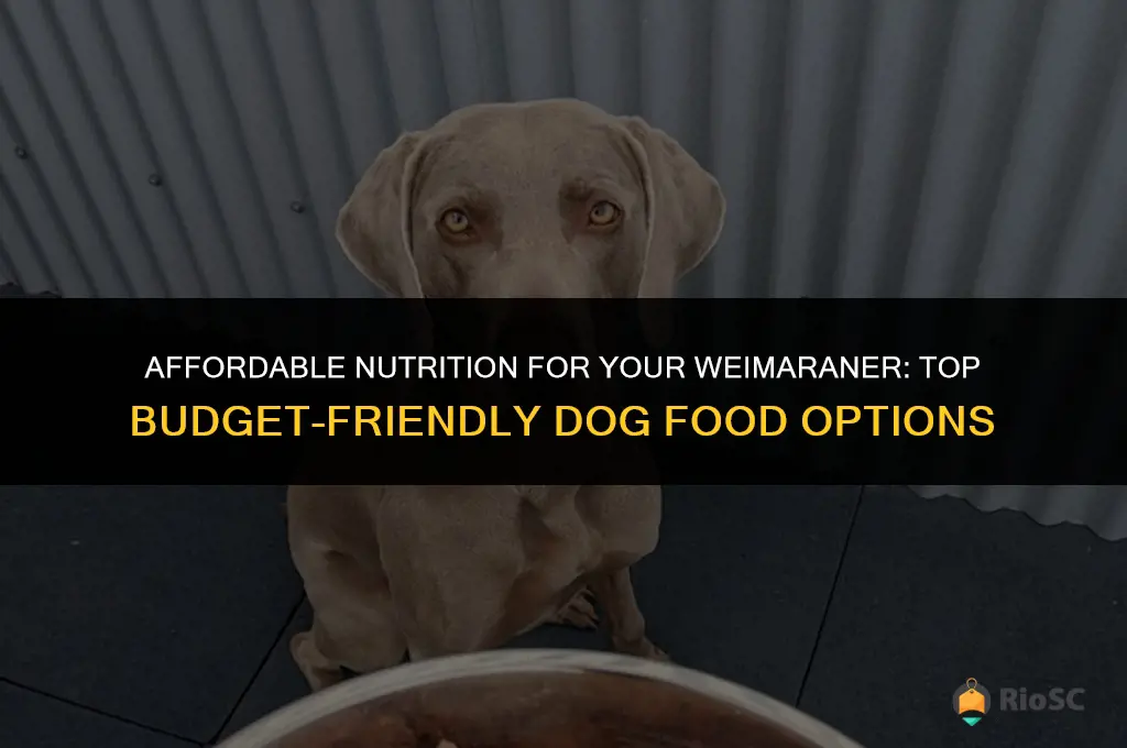 best cheap dog food for weimaraner