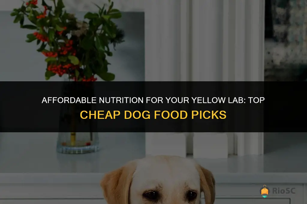 best cheap dog food for yellow labs
